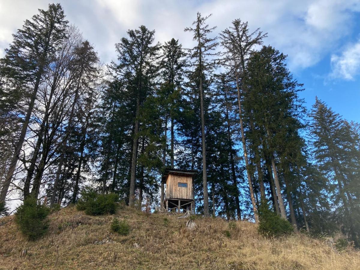 Chalet ヴィルダルペン エクステリア 写真