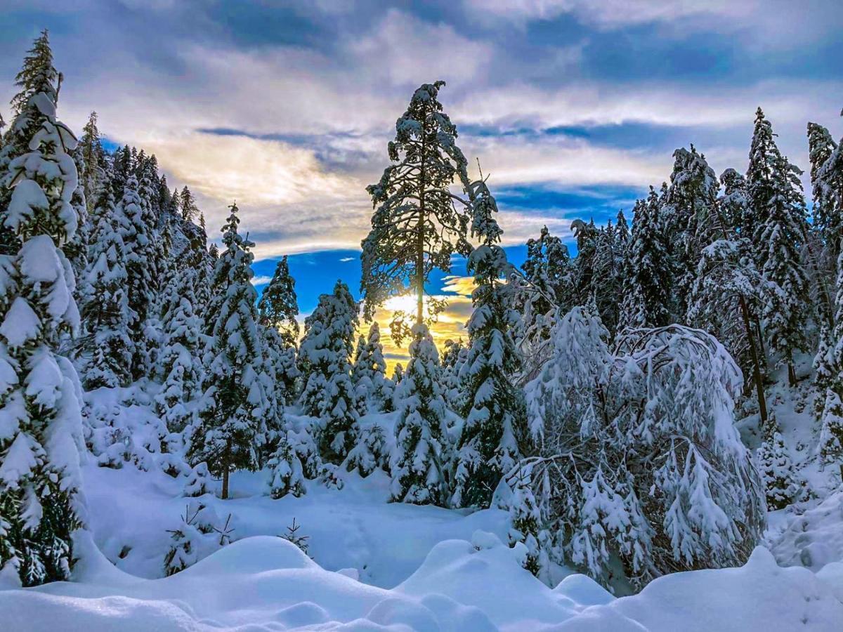 Chalet ヴィルダルペン エクステリア 写真