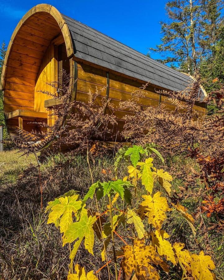Chalet ヴィルダルペン エクステリア 写真