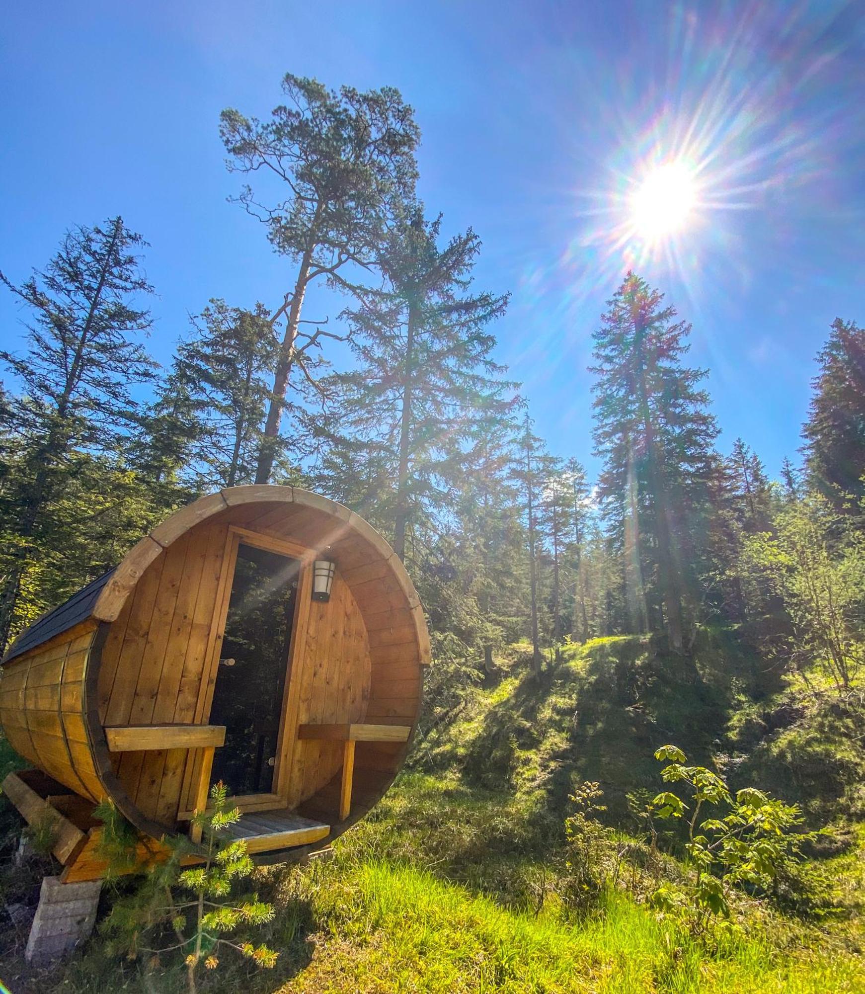 Chalet ヴィルダルペン エクステリア 写真