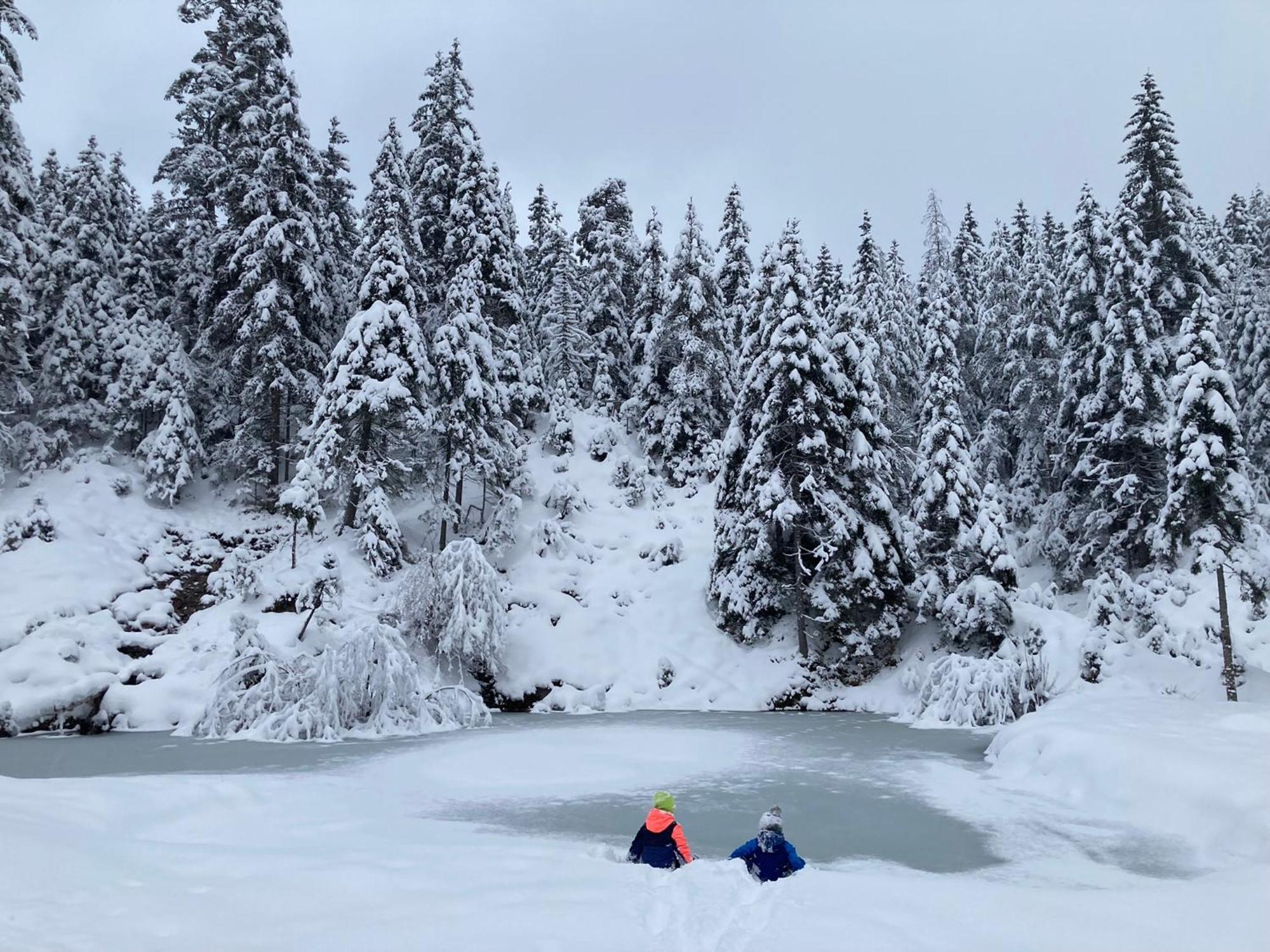 Chalet ヴィルダルペン エクステリア 写真