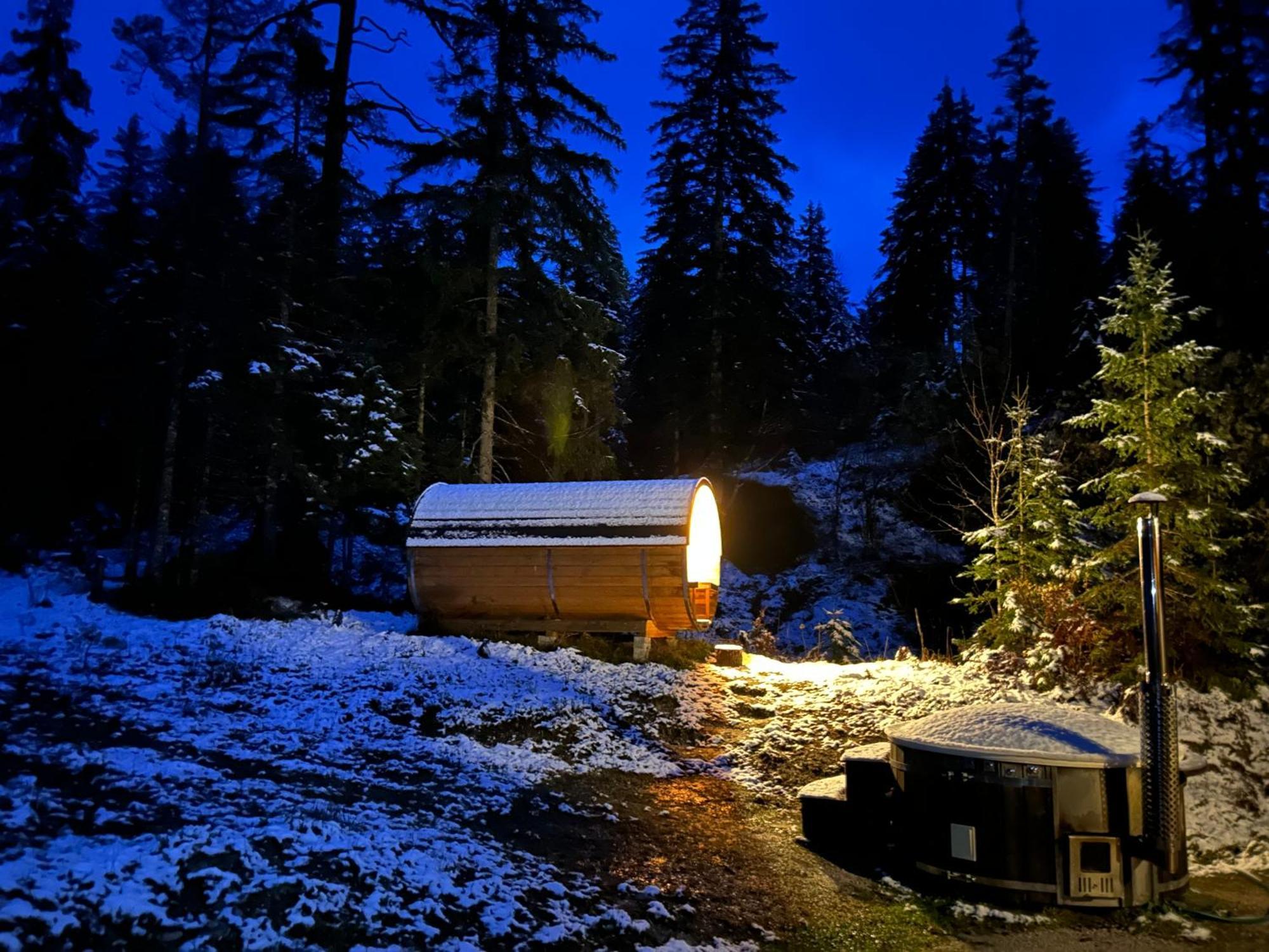 Chalet ヴィルダルペン エクステリア 写真