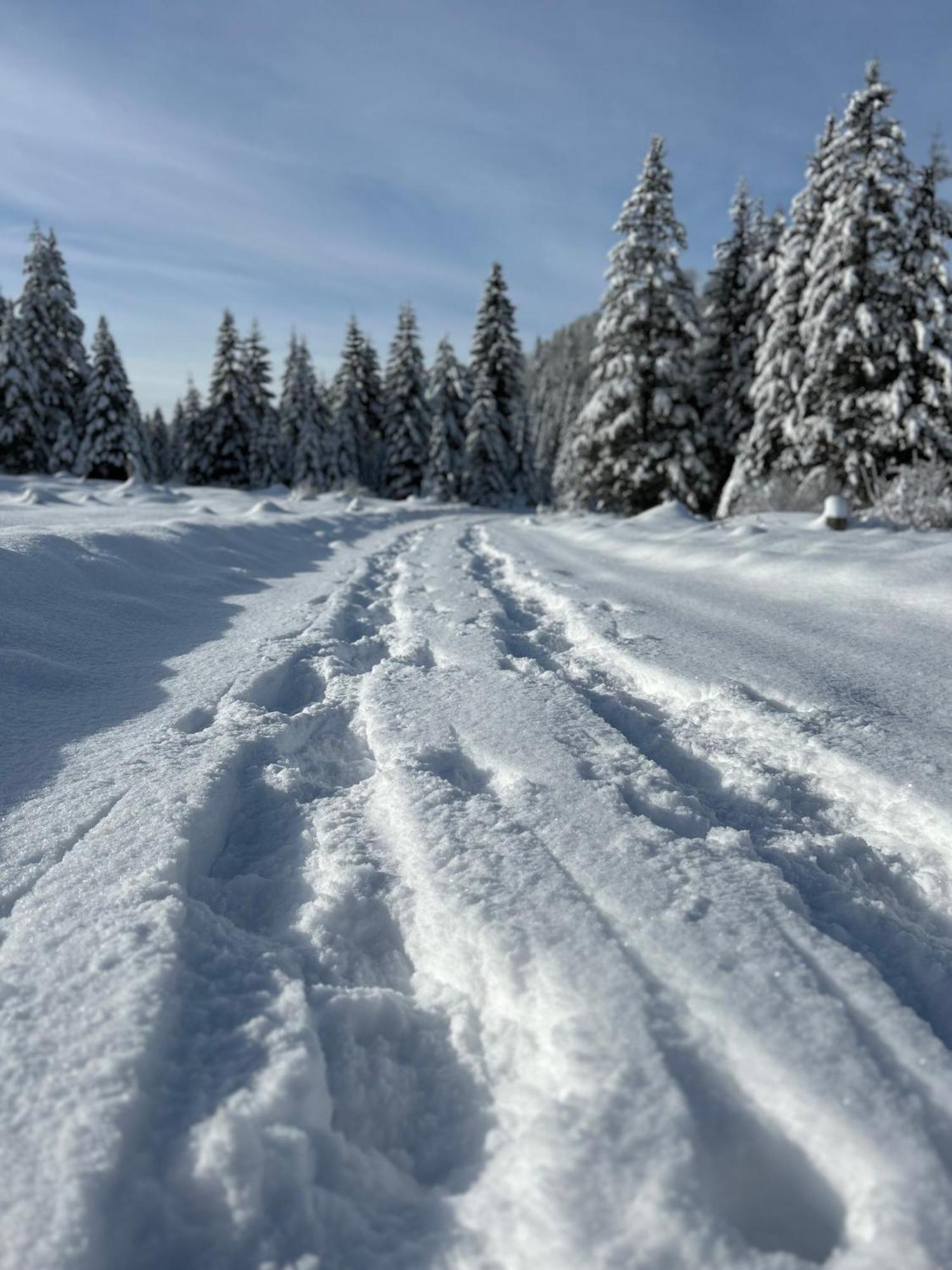 Chalet ヴィルダルペン エクステリア 写真