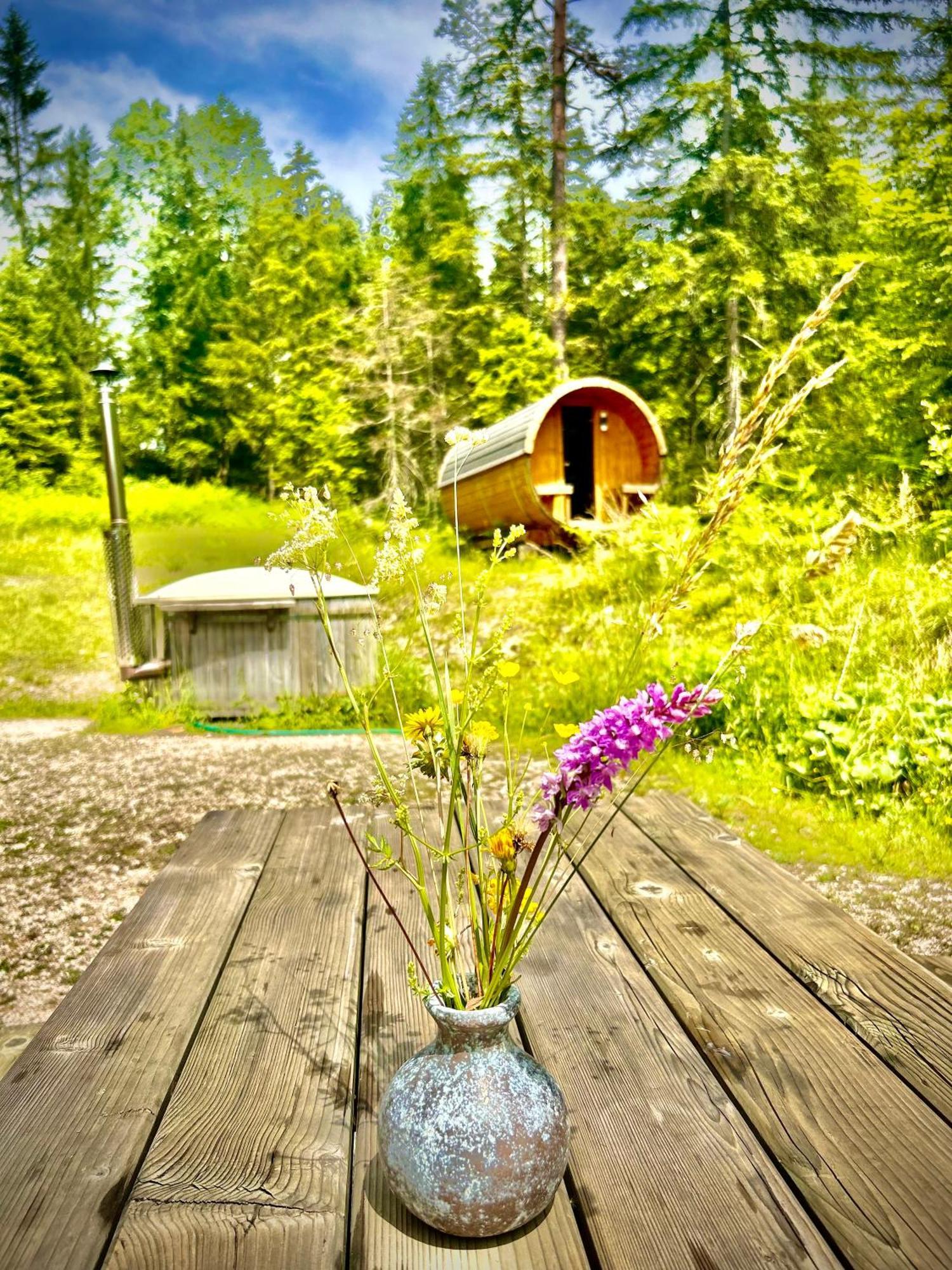 Chalet ヴィルダルペン エクステリア 写真