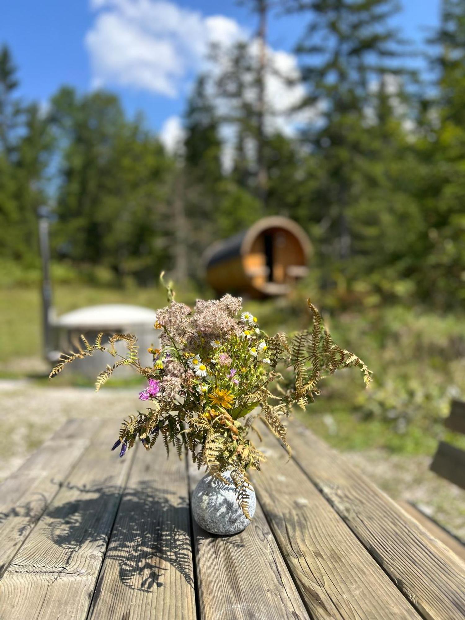 Chalet ヴィルダルペン エクステリア 写真